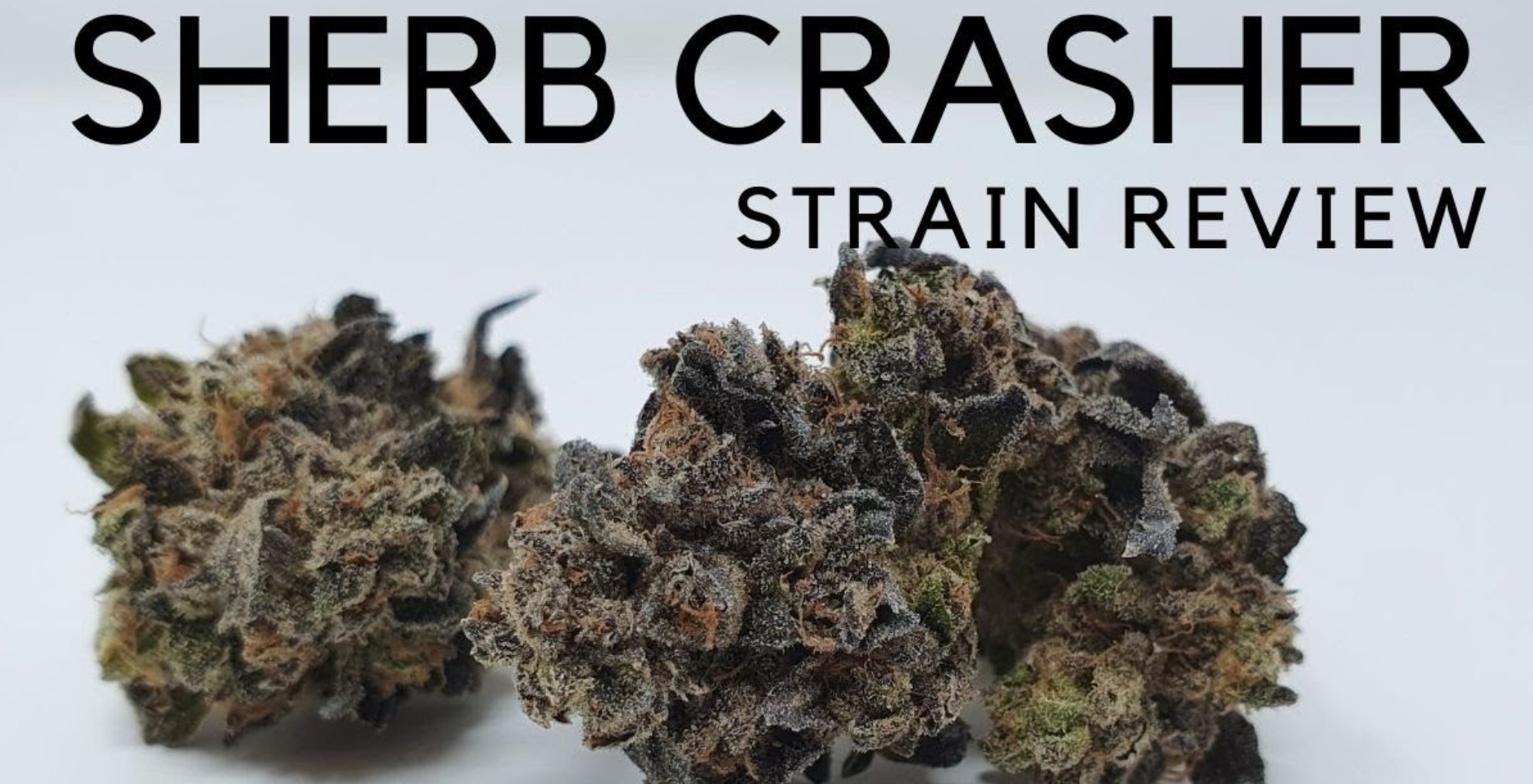Sherb crasher strain review